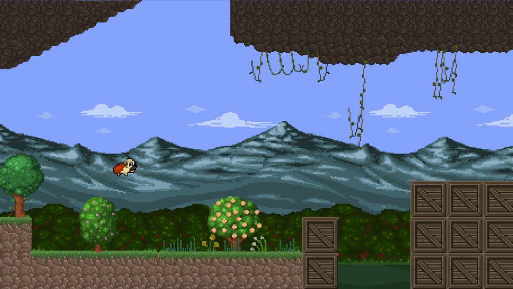 Screenshot 15