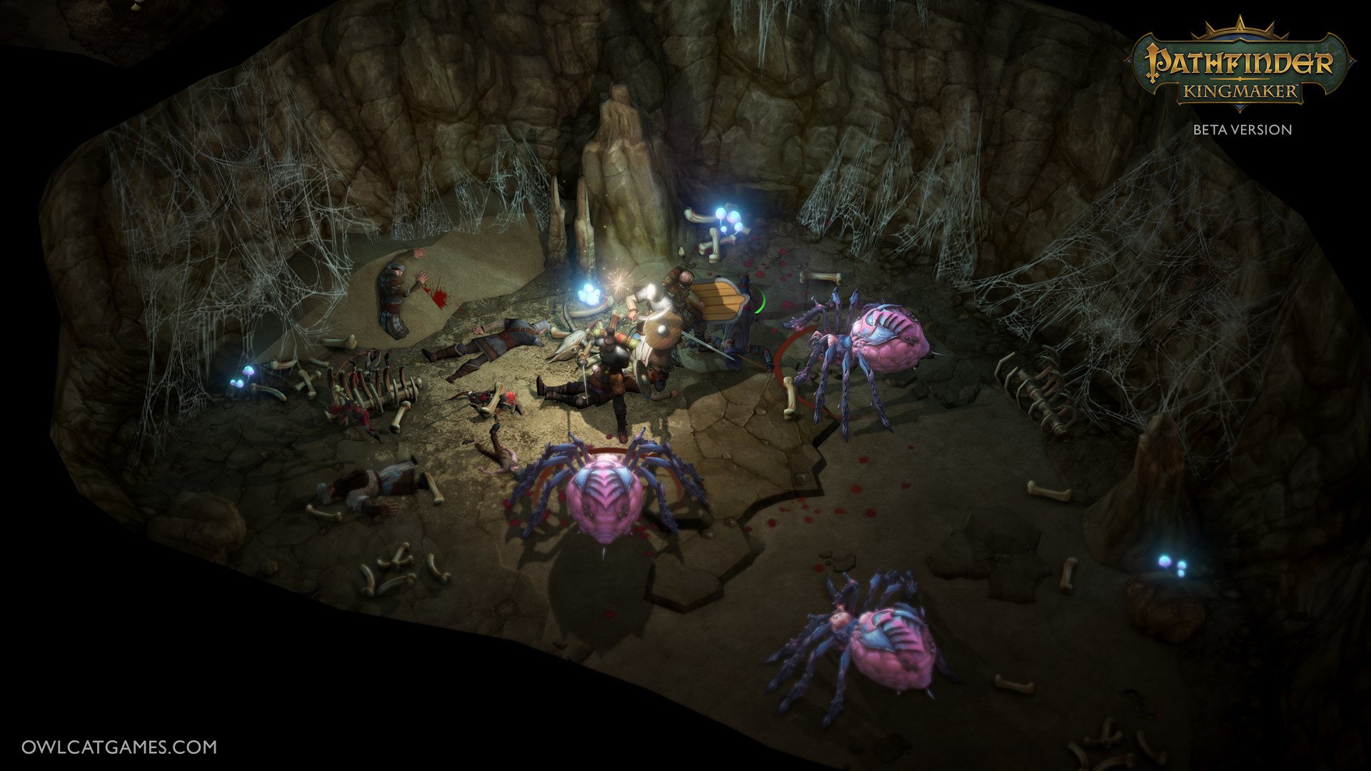 Screenshot 12
