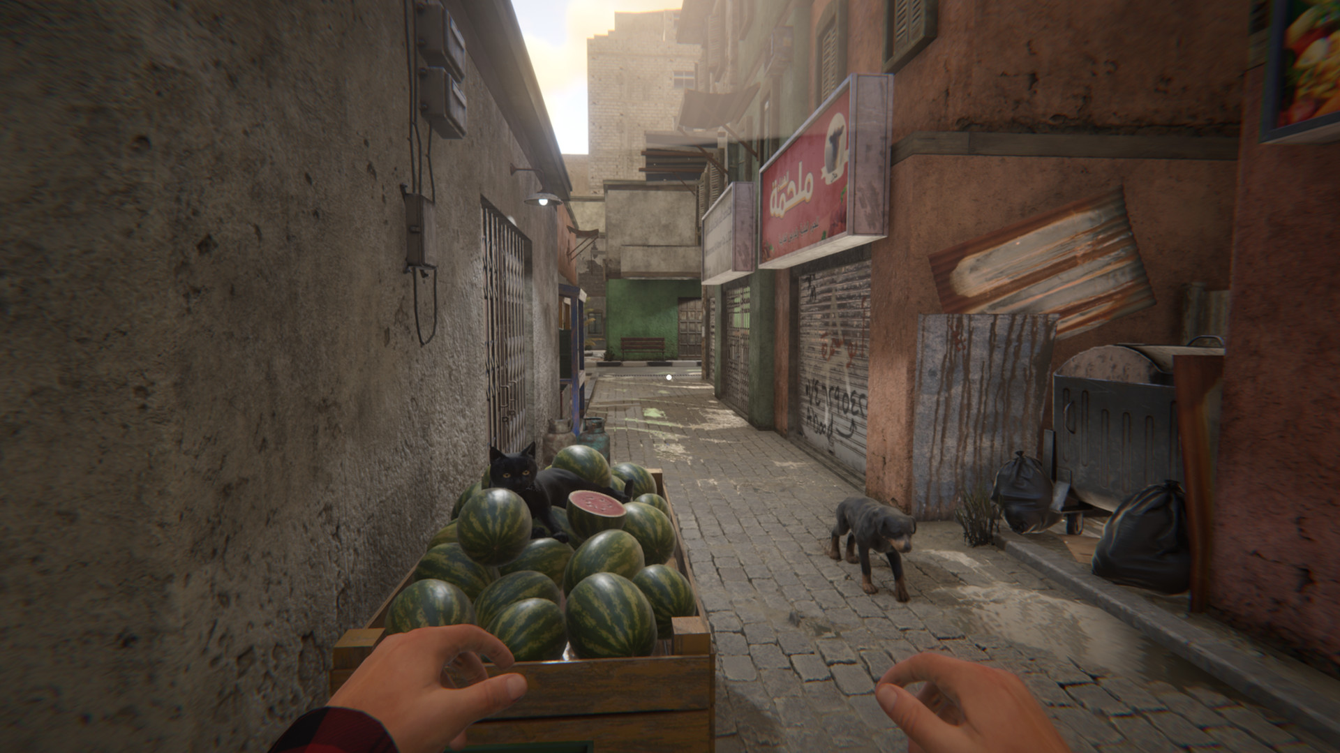 Screenshot 18