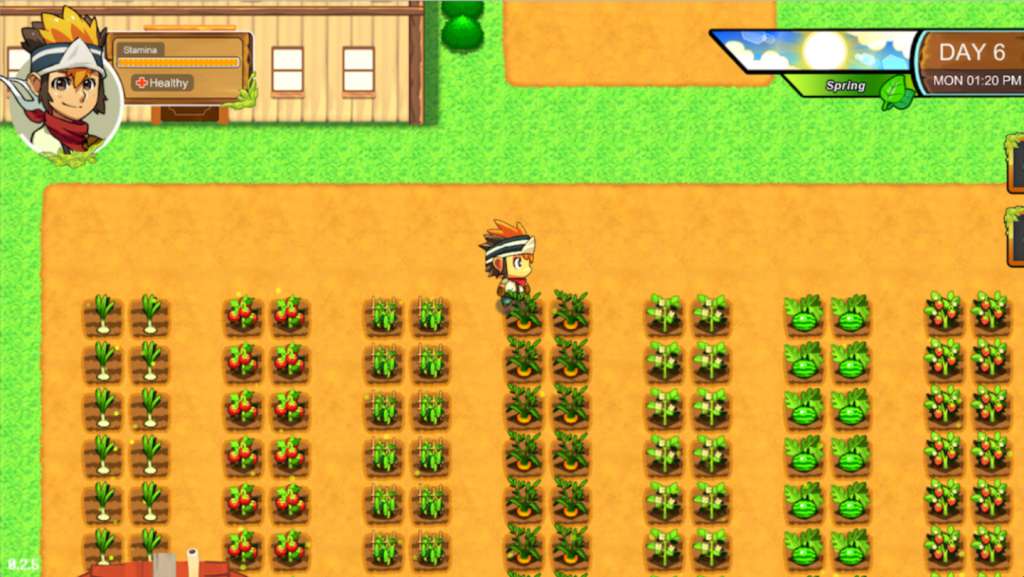 Screenshot 16