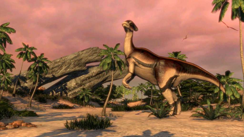 Screenshot 19