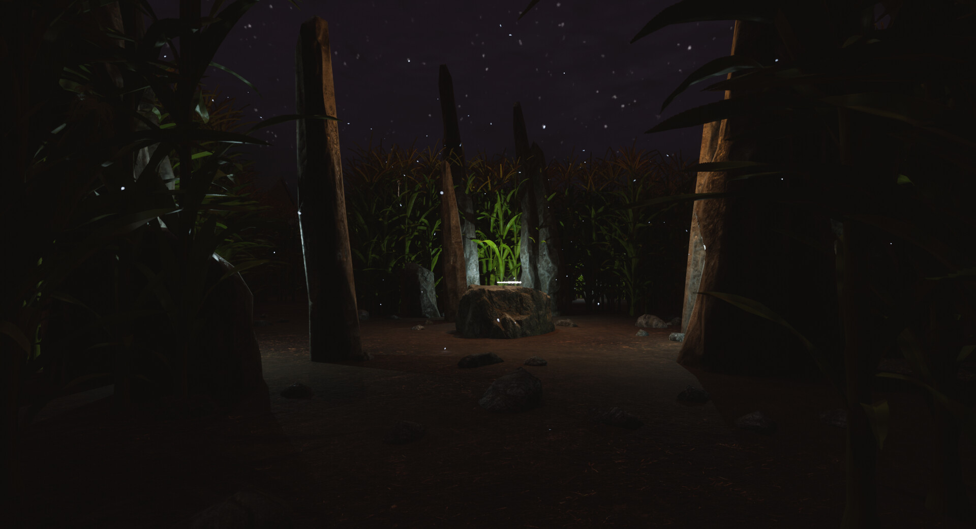 Screenshot 19