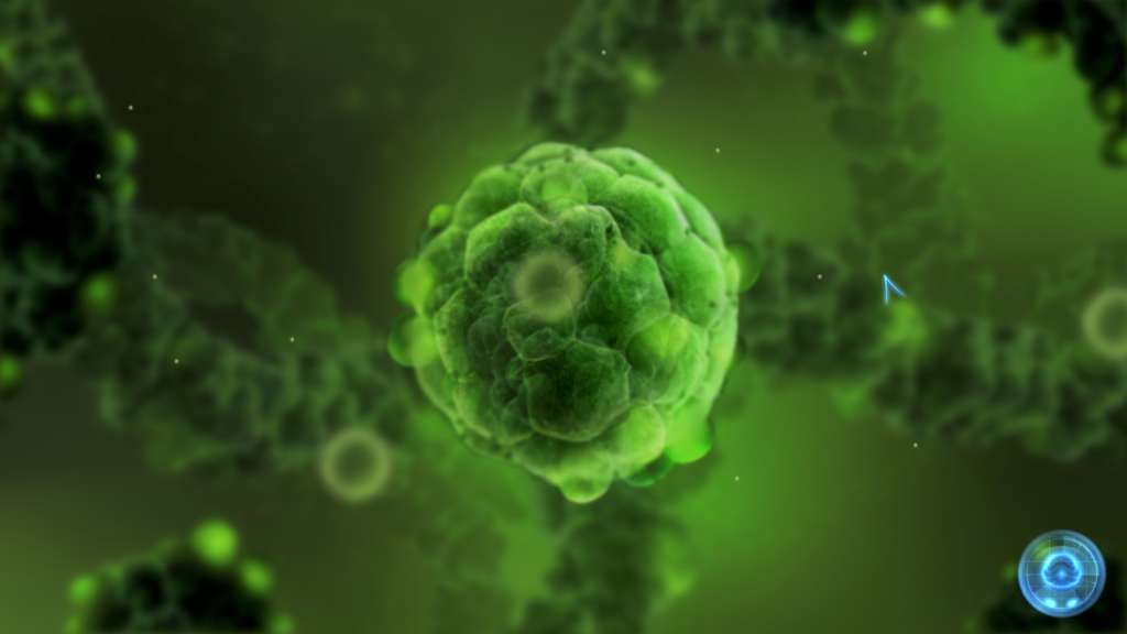 Screenshot 14