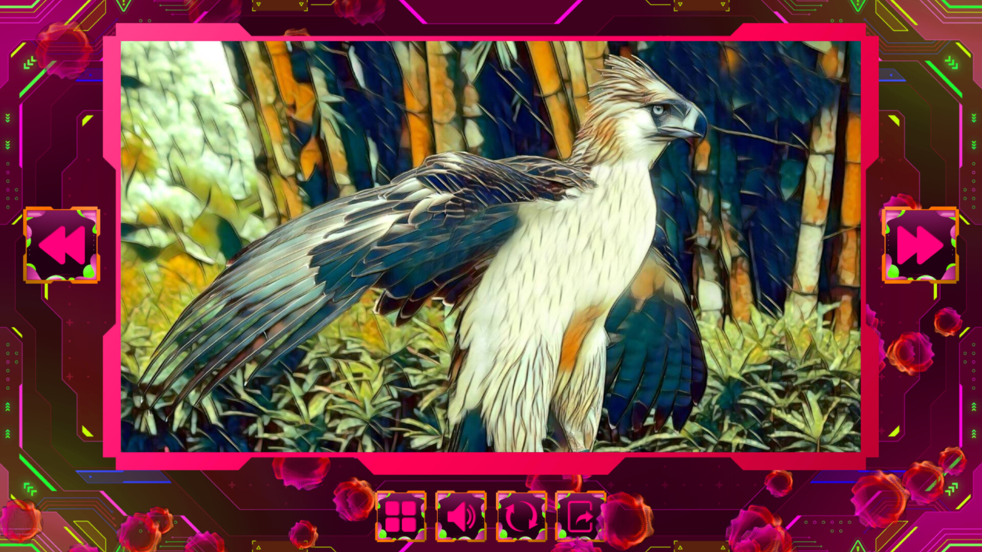 Screenshot 16