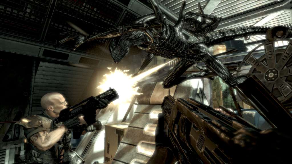Screenshot 16