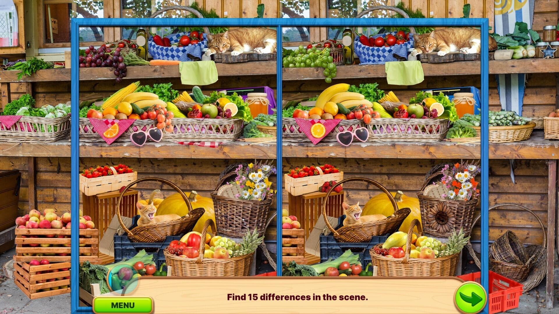 Screenshot 15