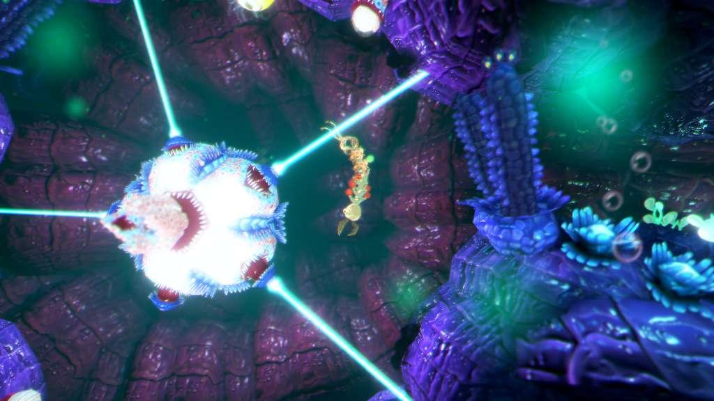 Screenshot 19