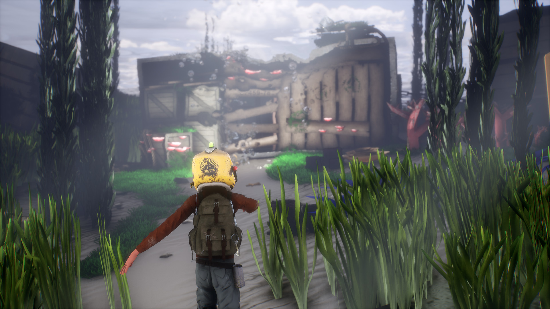 Screenshot 20