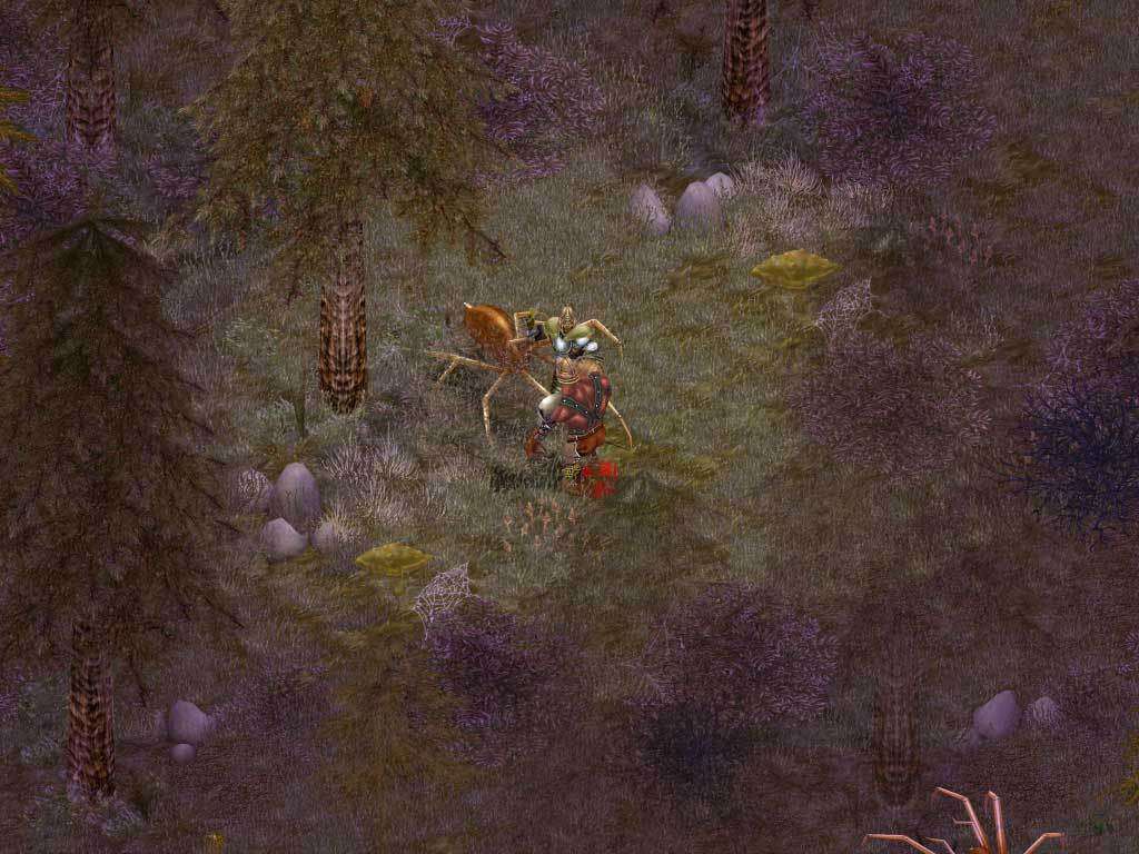 Screenshot 12