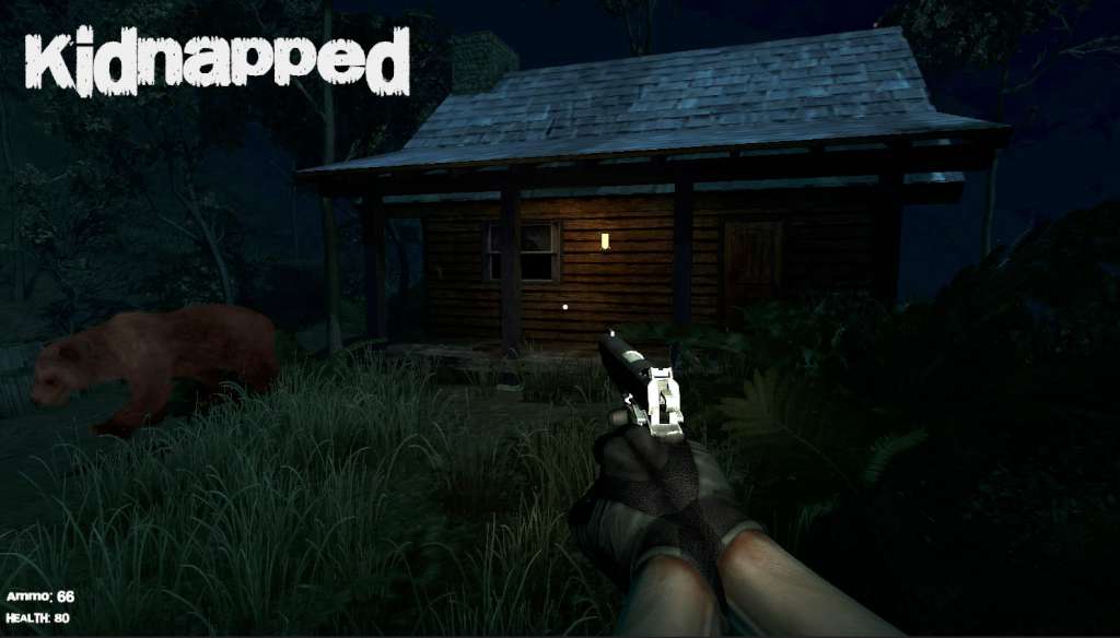 Screenshot 13