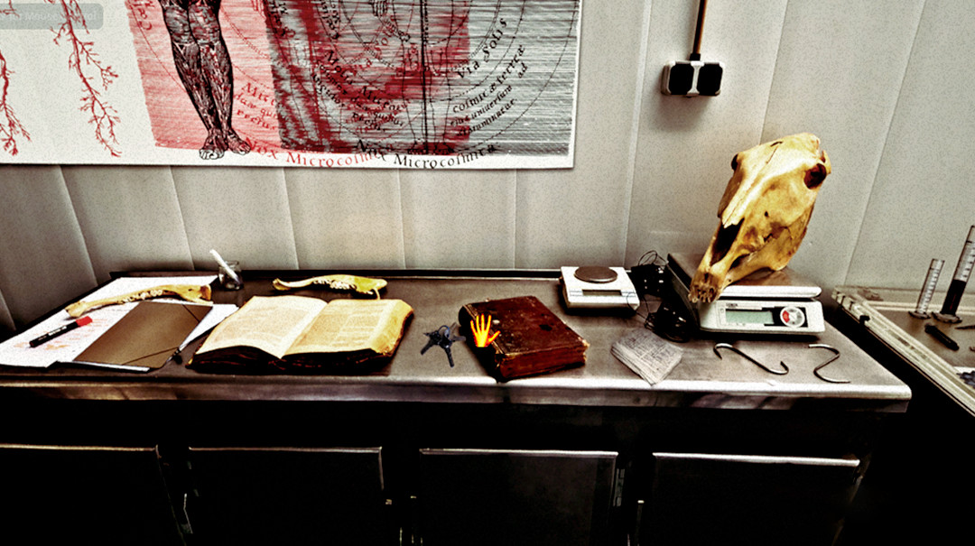 Screenshot 13