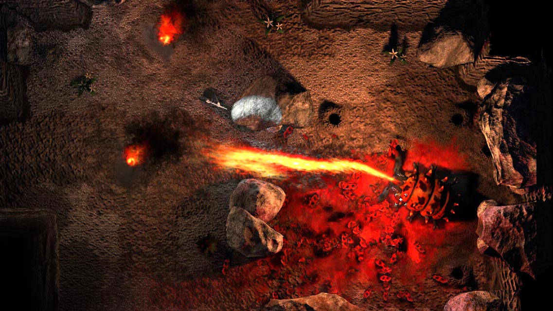 Screenshot 15