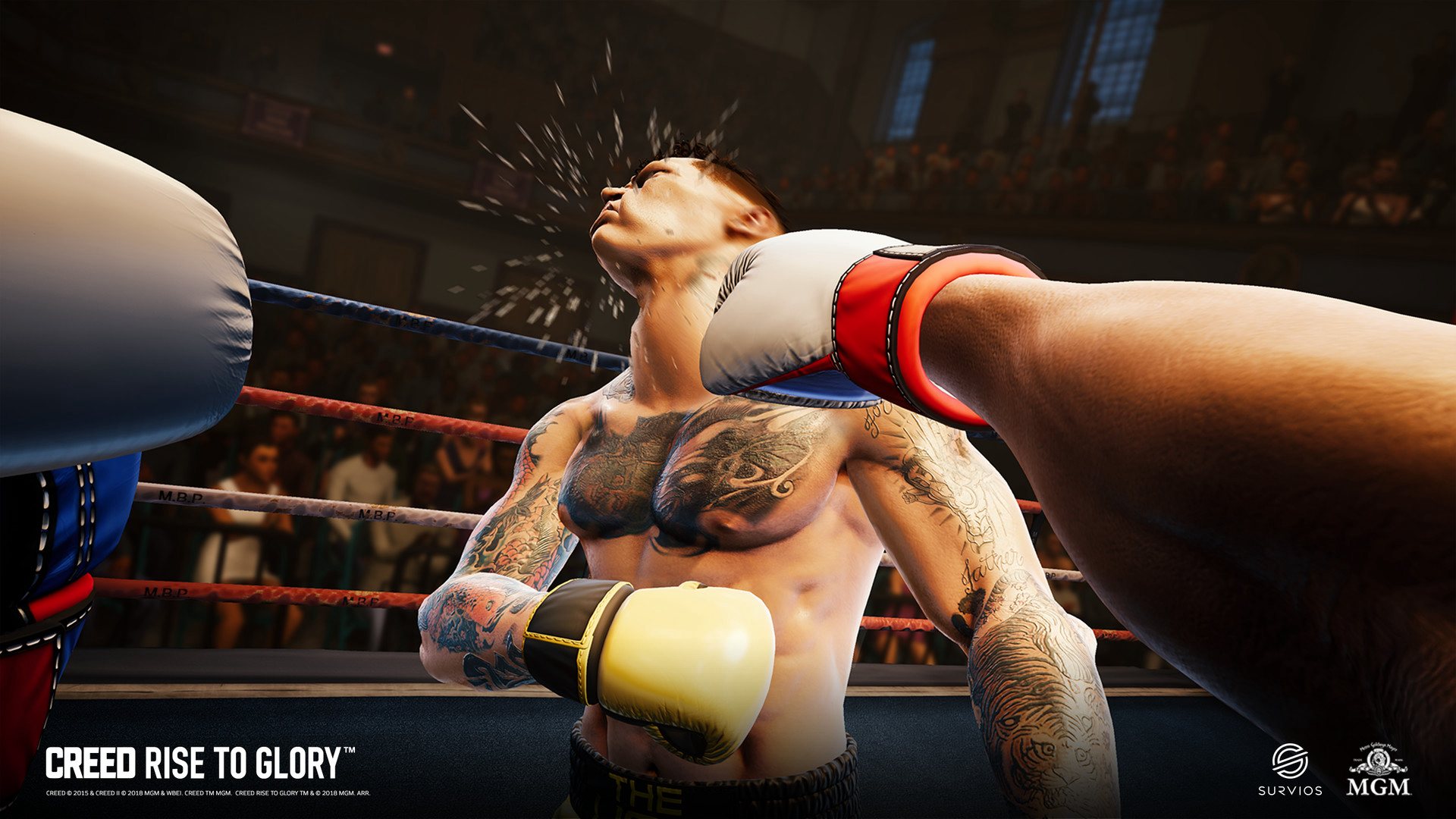 Screenshot 16