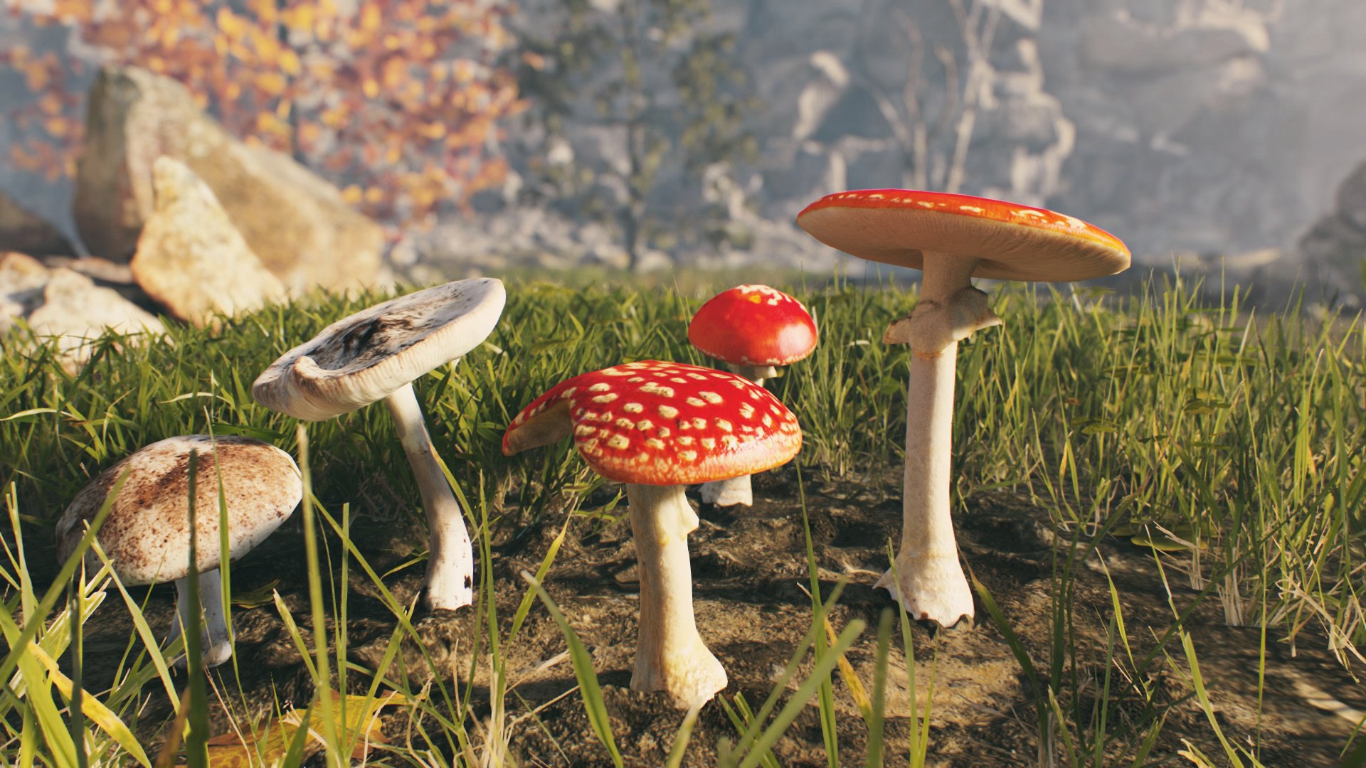 Screenshot 13
