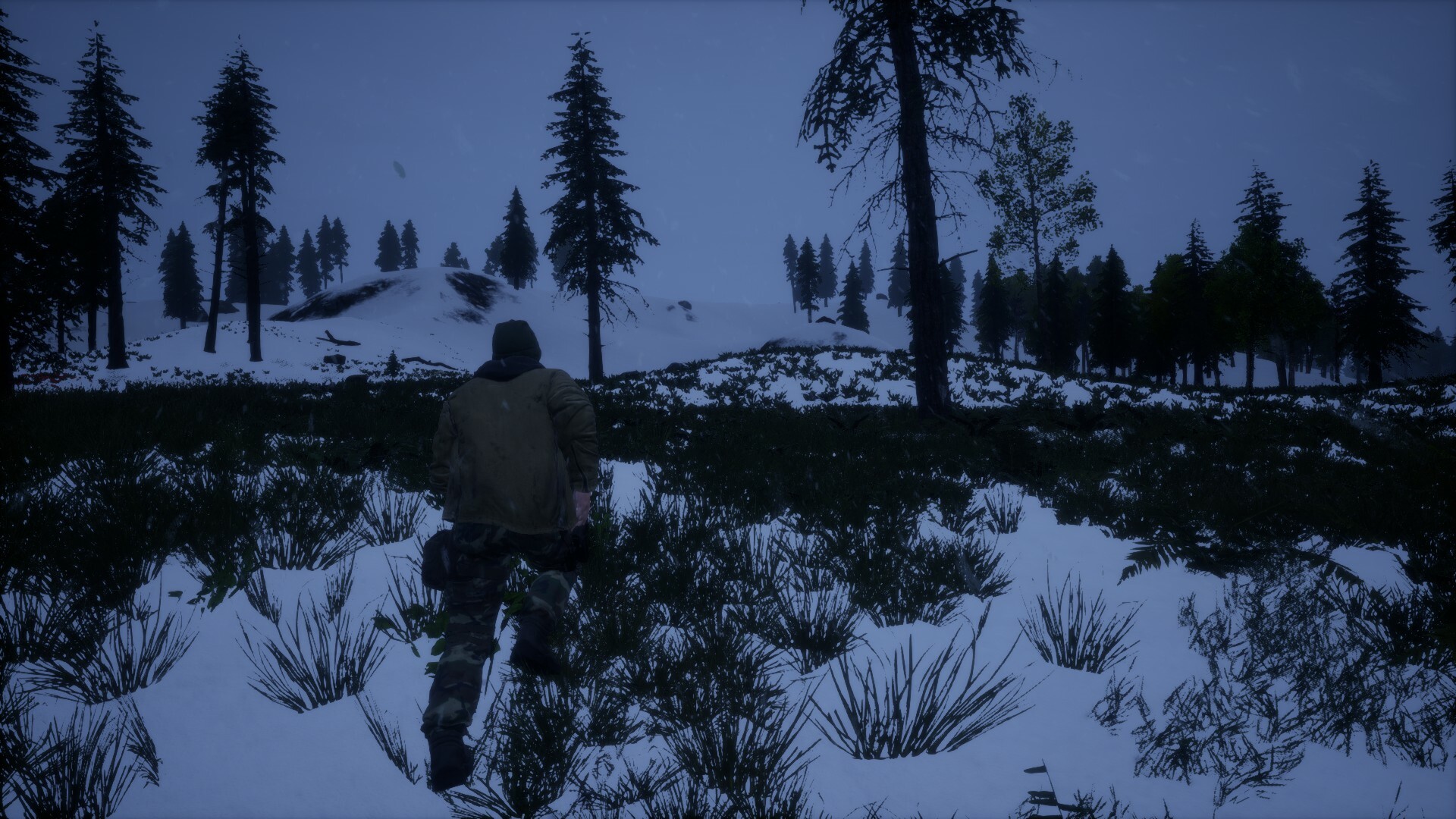 Screenshot 13