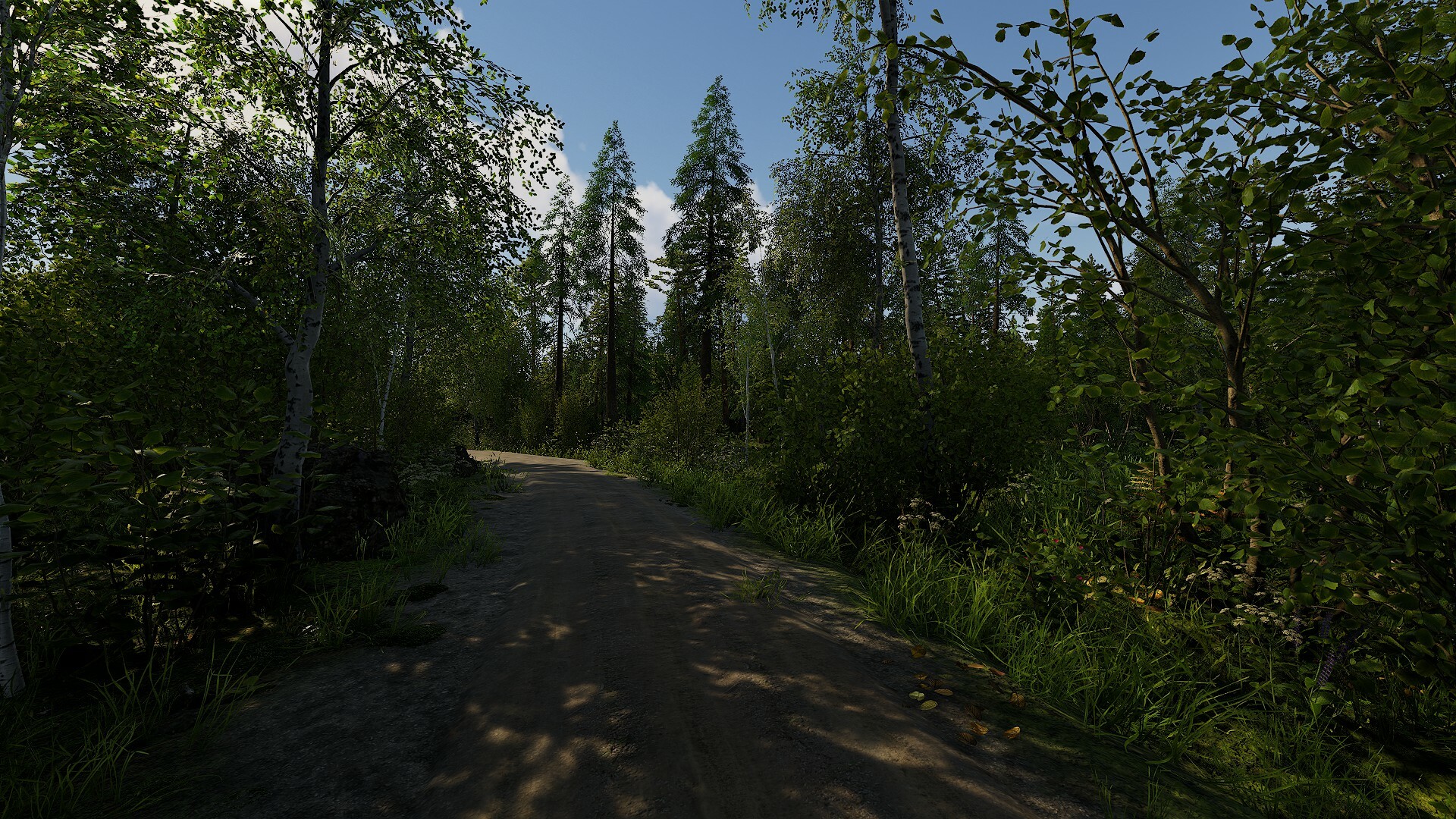 Screenshot 19