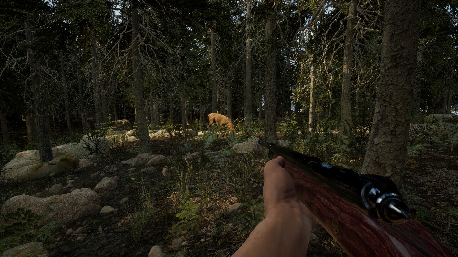 Screenshot 19