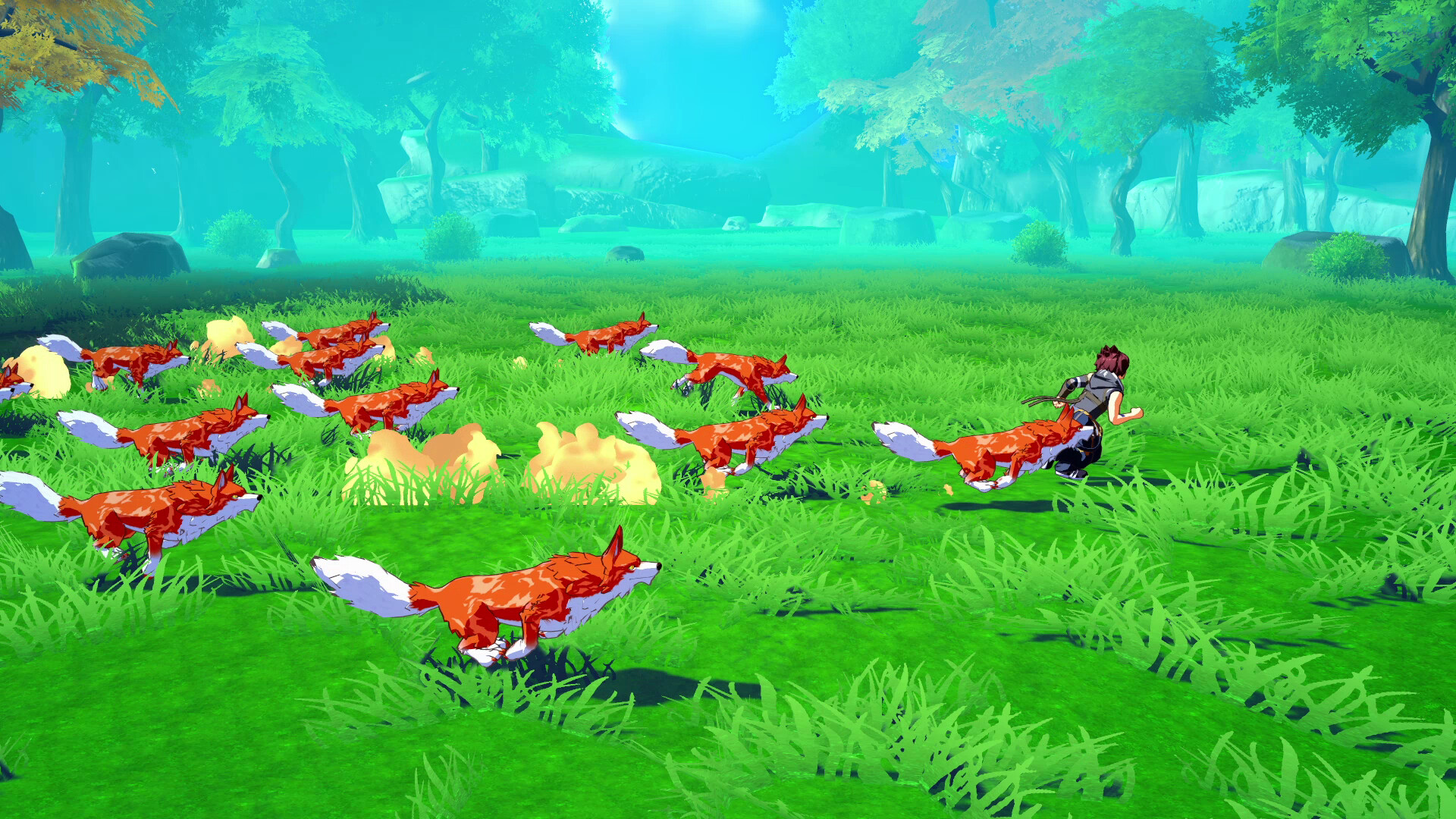 Screenshot 13