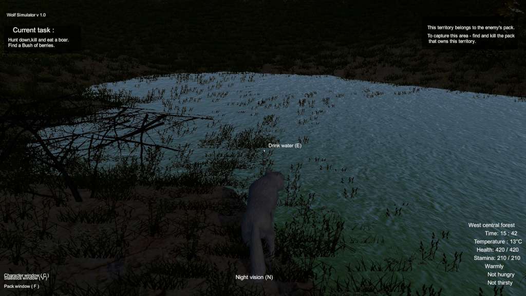 Screenshot 17