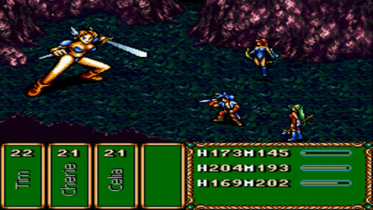 Screenshot 13