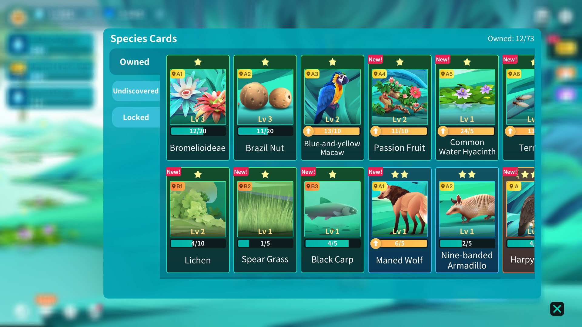 Screenshot 13