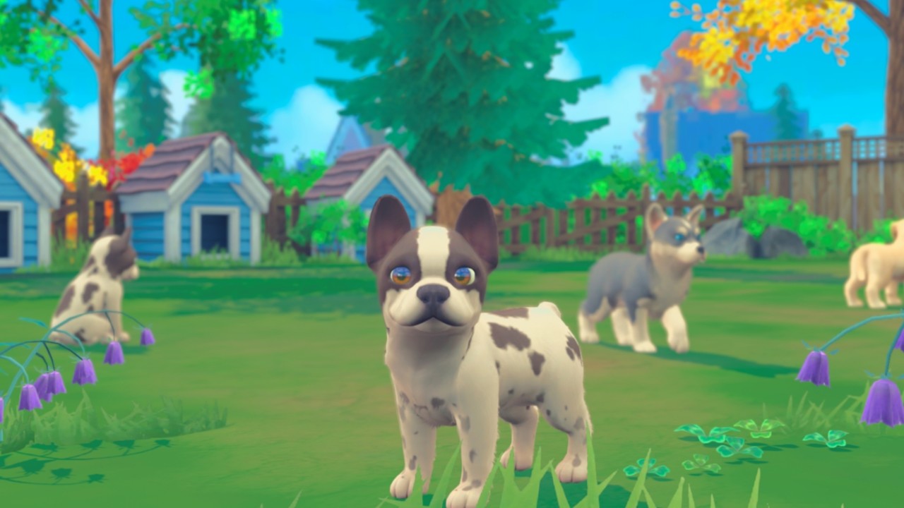 Screenshot 15