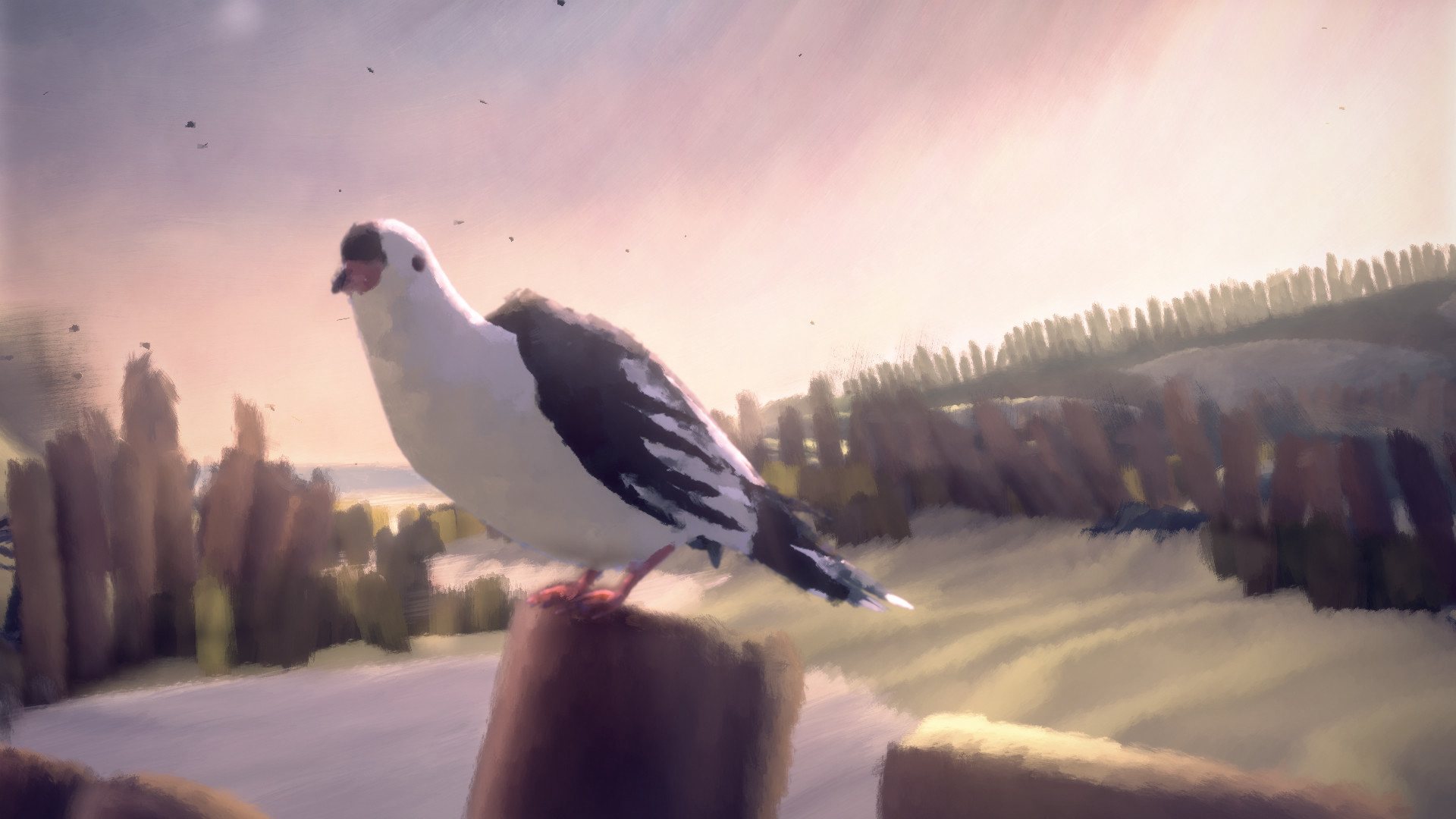 Screenshot 20
