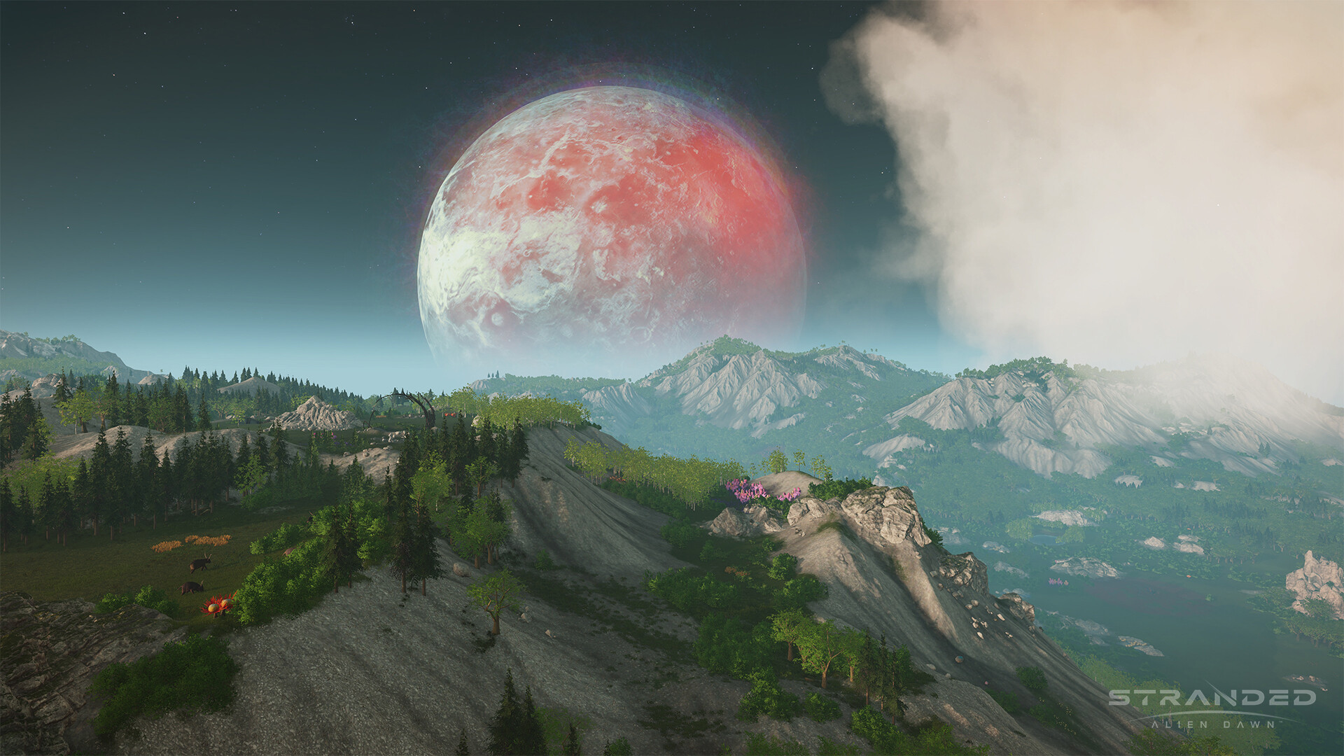 Screenshot 16