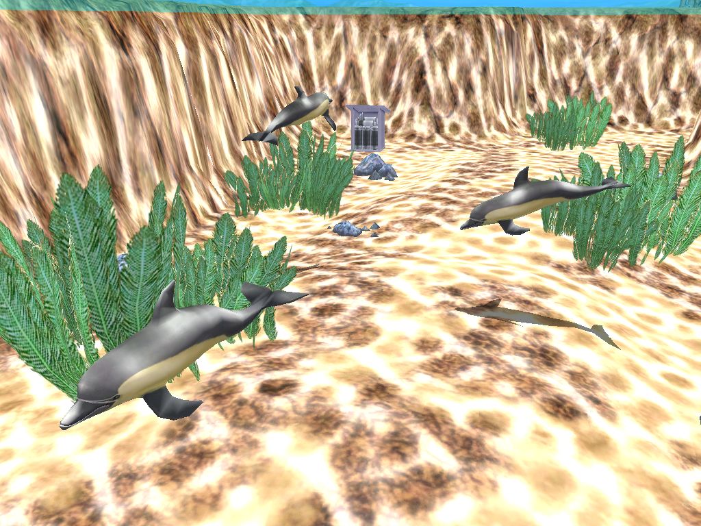 Screenshot 19