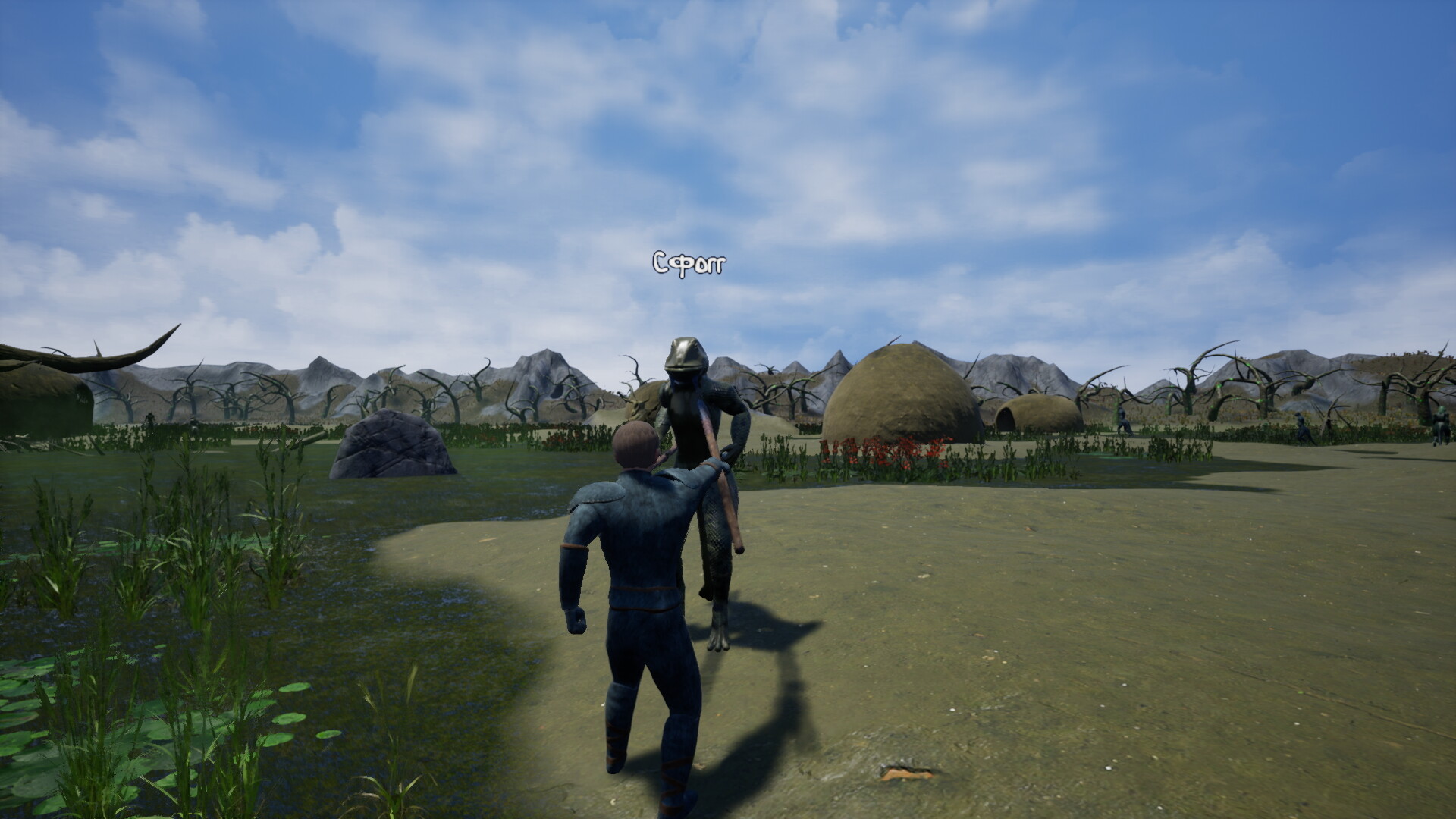 Screenshot 13