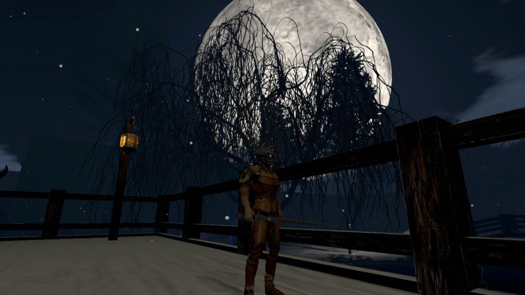 Screenshot 13