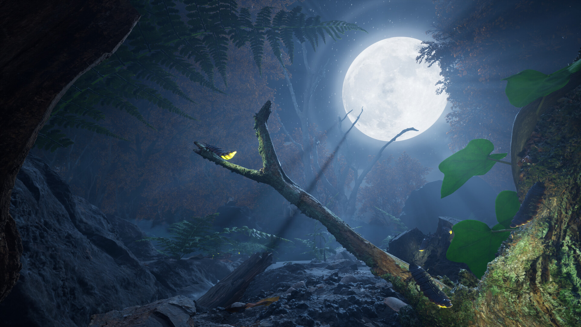 Screenshot 11