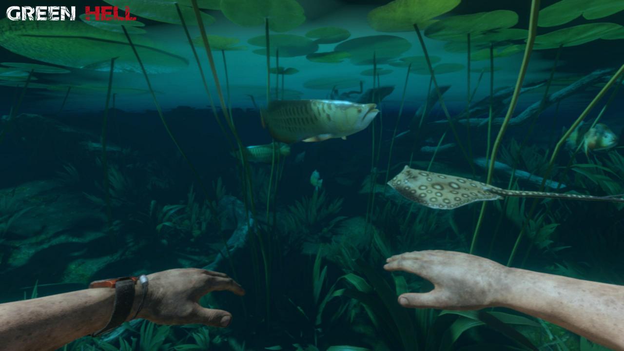 Screenshot 14