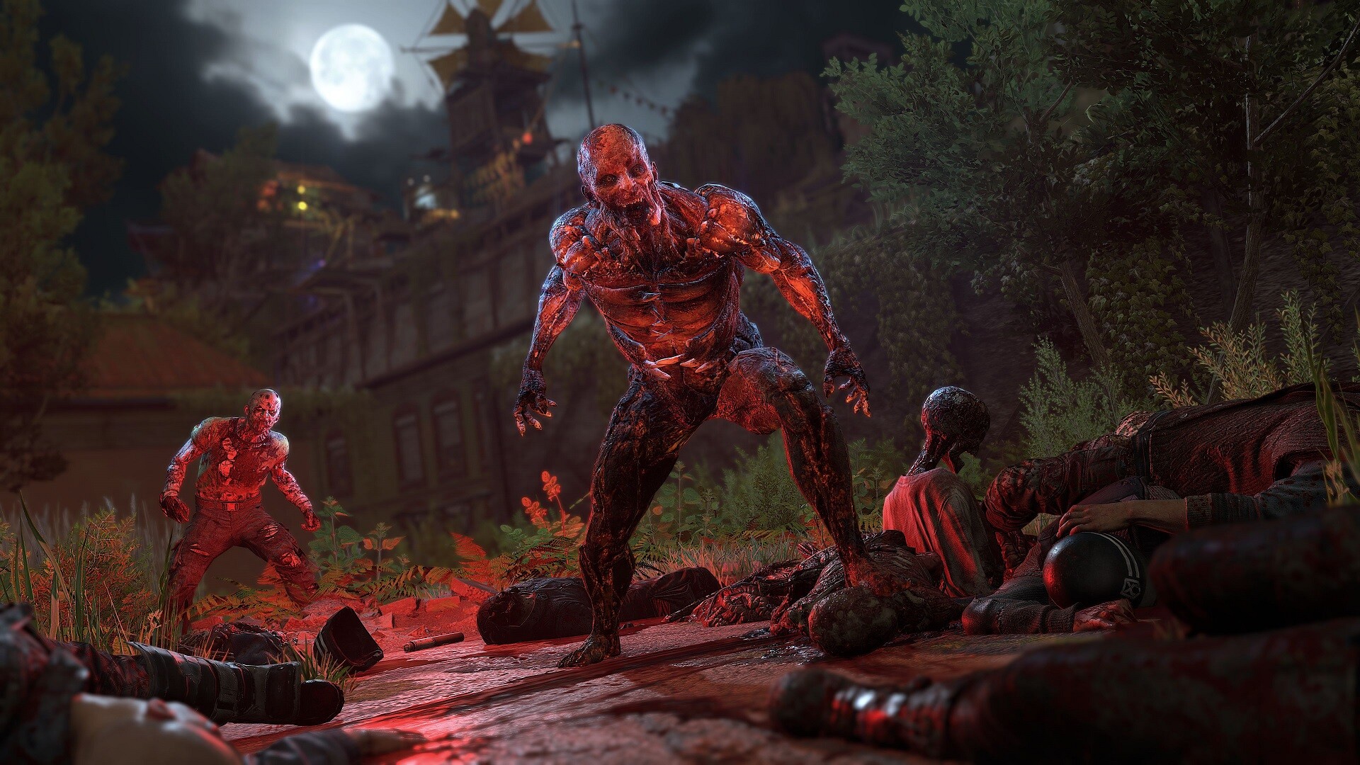 Screenshot 19