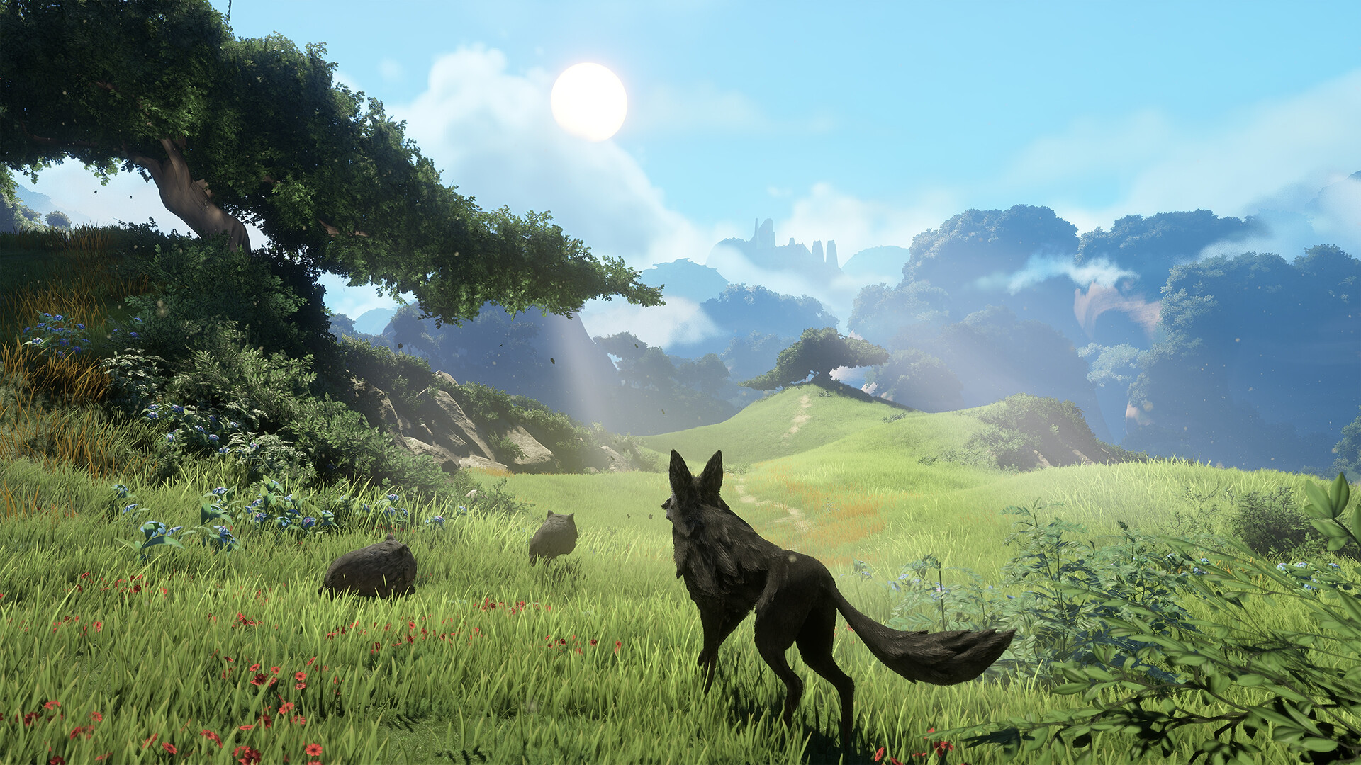 Screenshot 16
