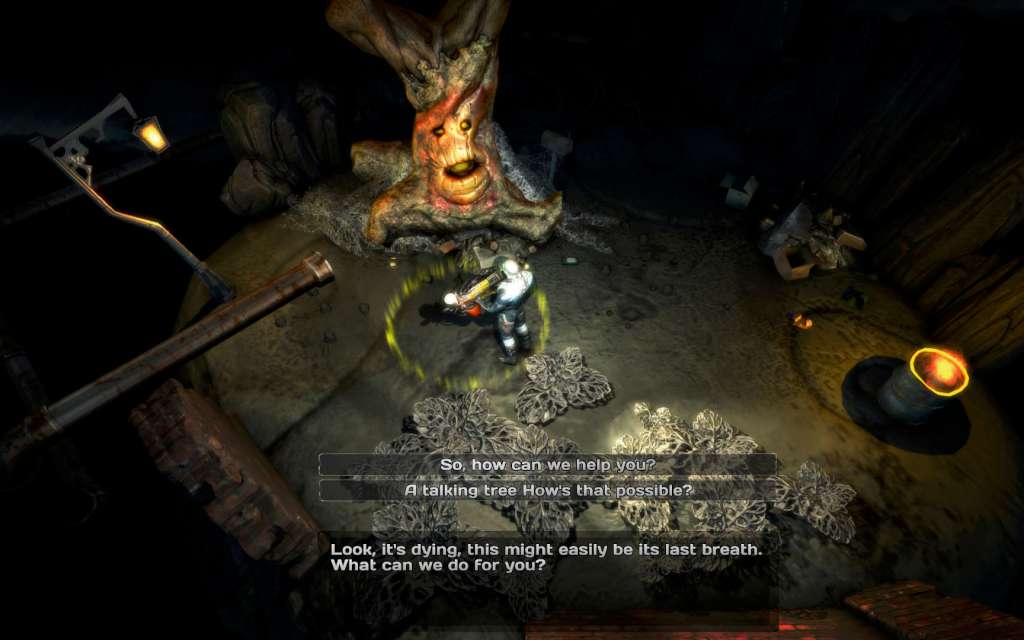 Screenshot 19