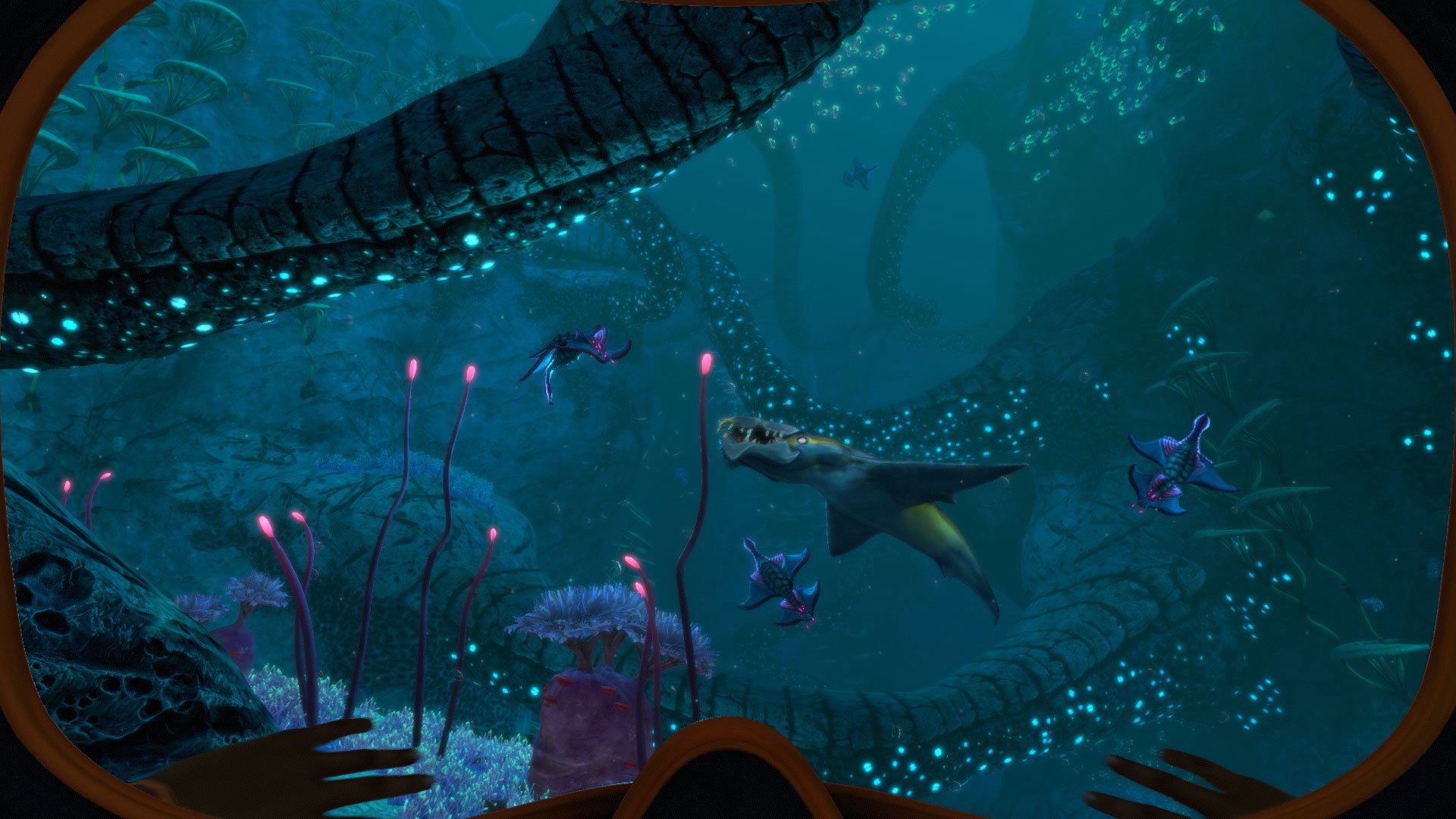Screenshot 19
