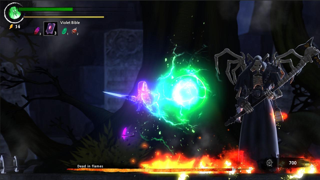 Screenshot 13