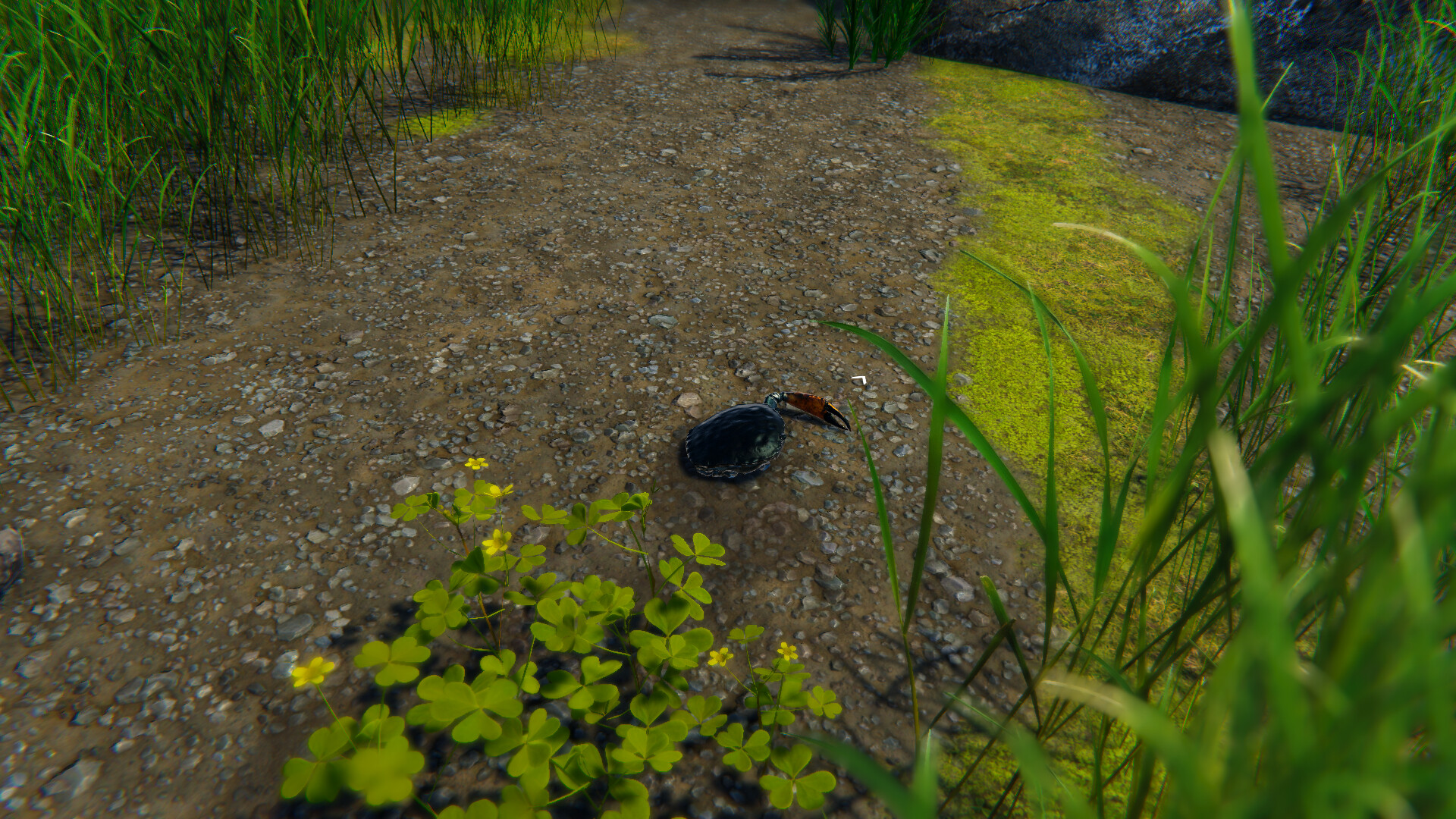 Screenshot 20