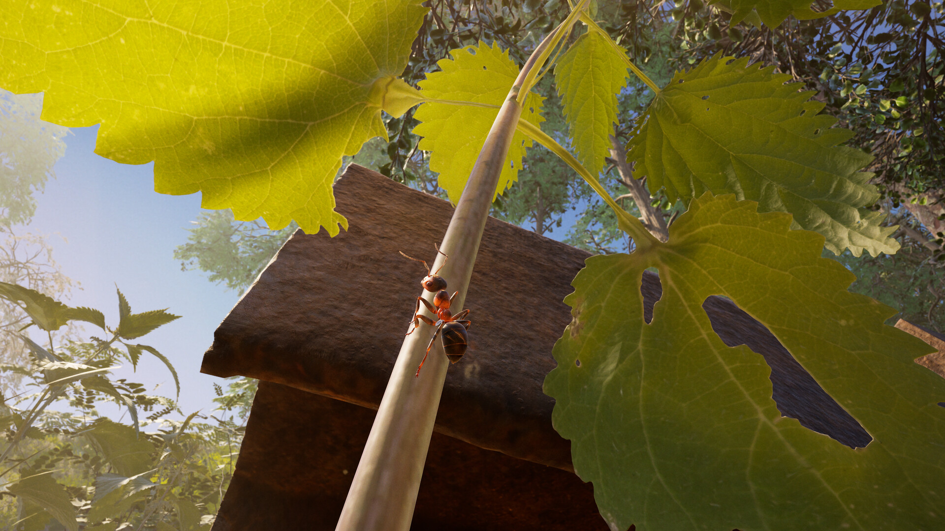 Screenshot 12