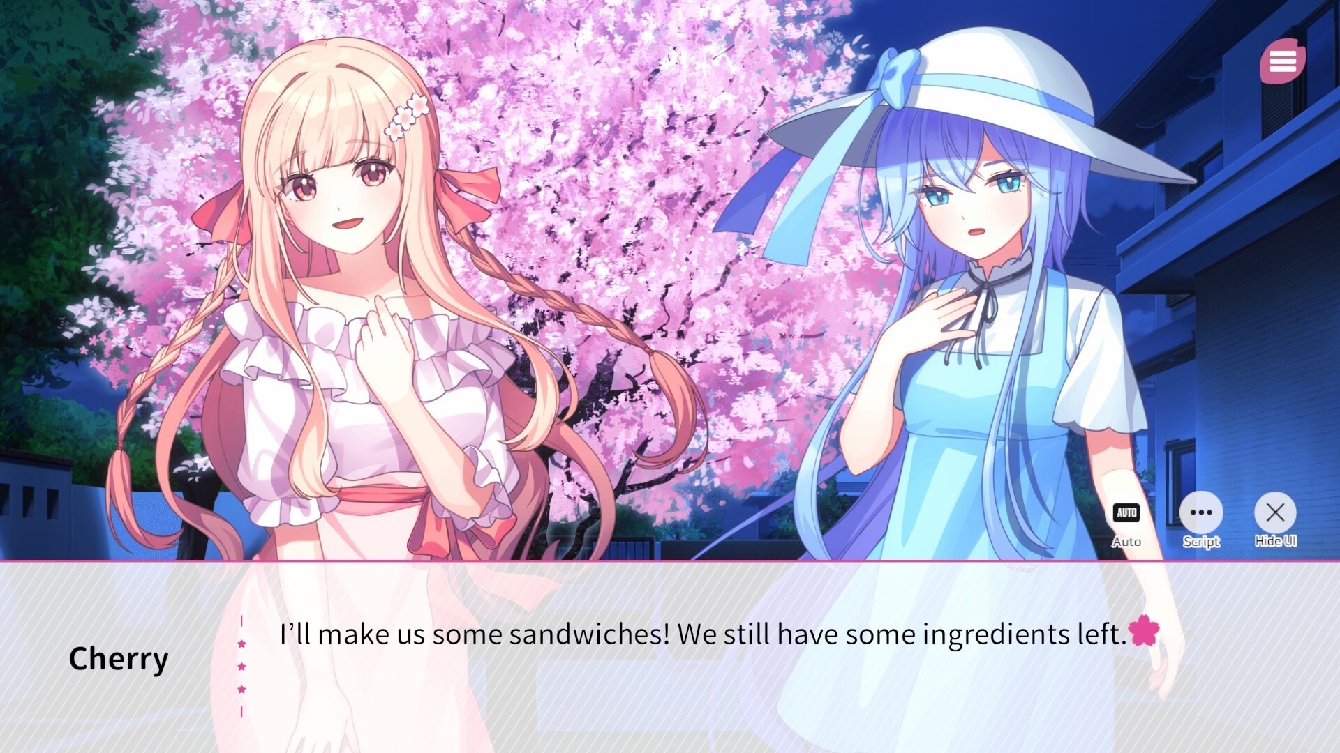 Screenshot 13