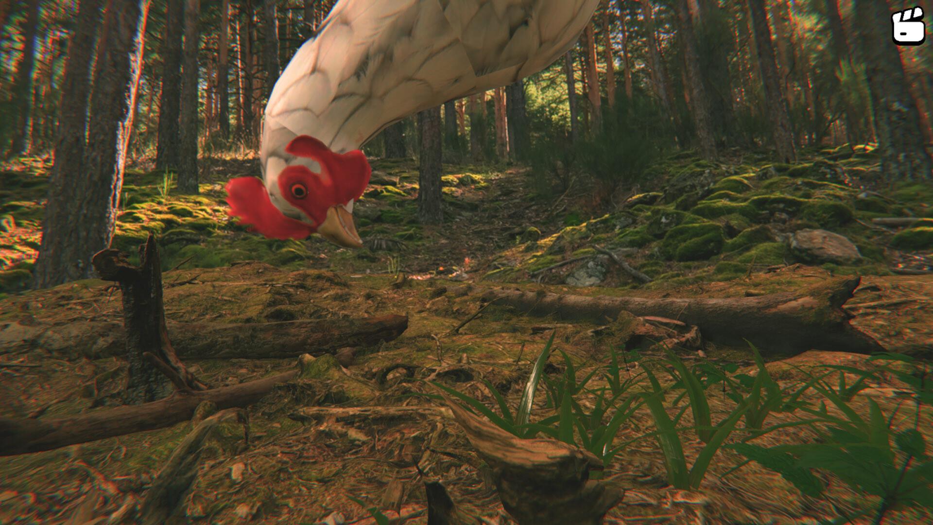 Screenshot 14