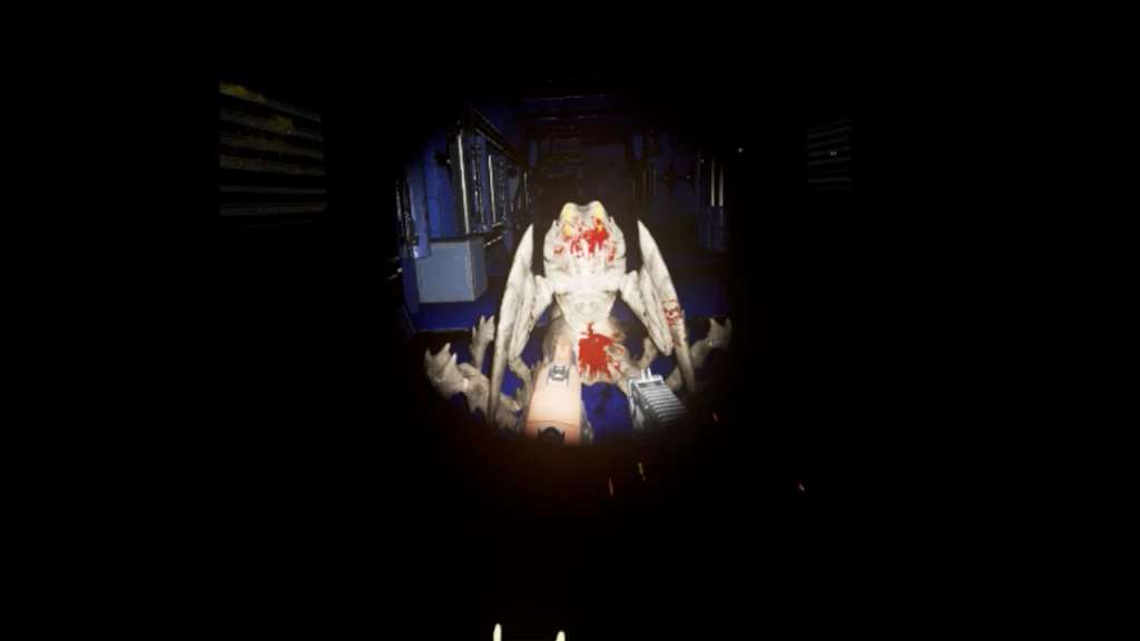 Screenshot 14