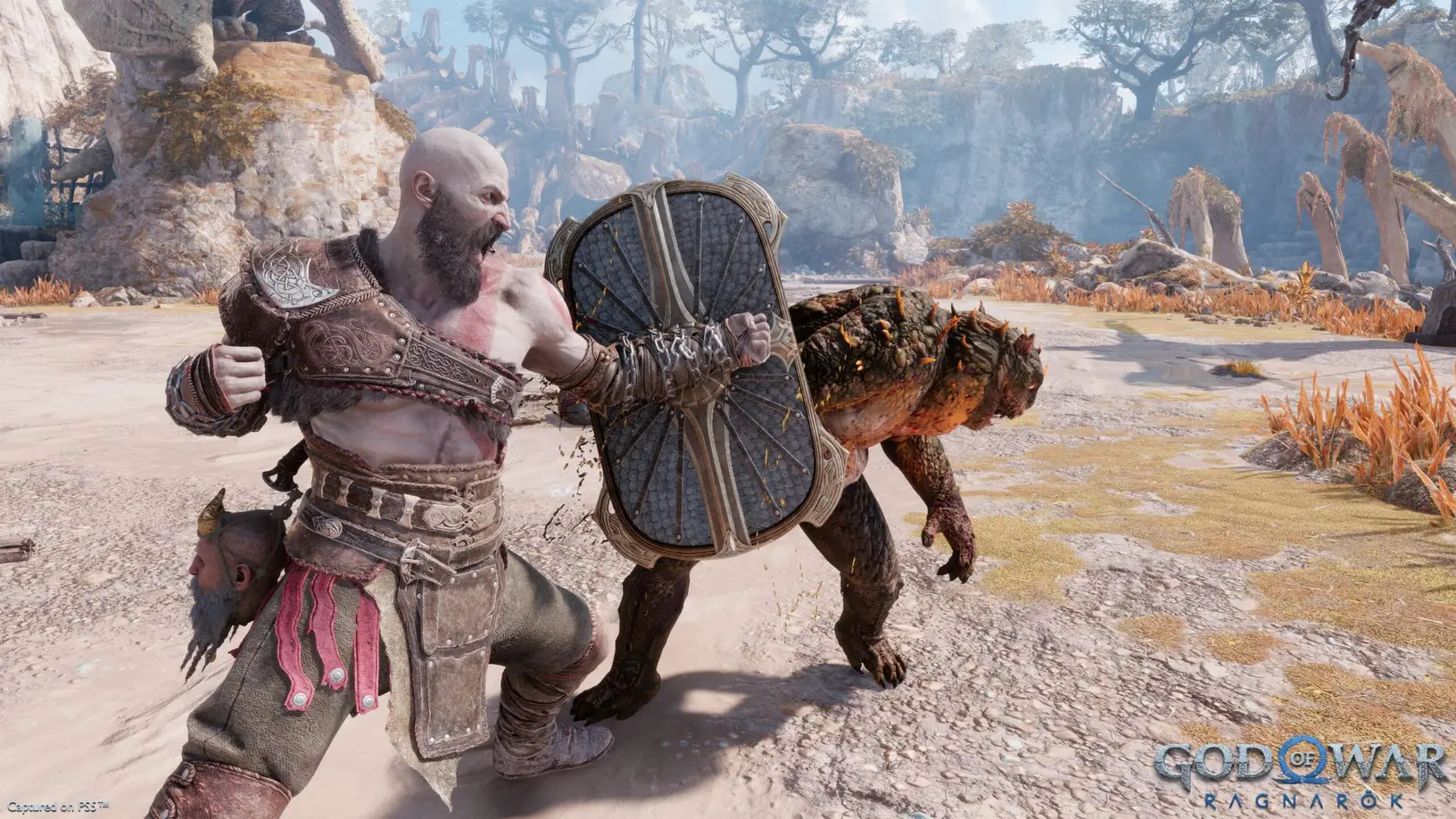 Screenshot 19