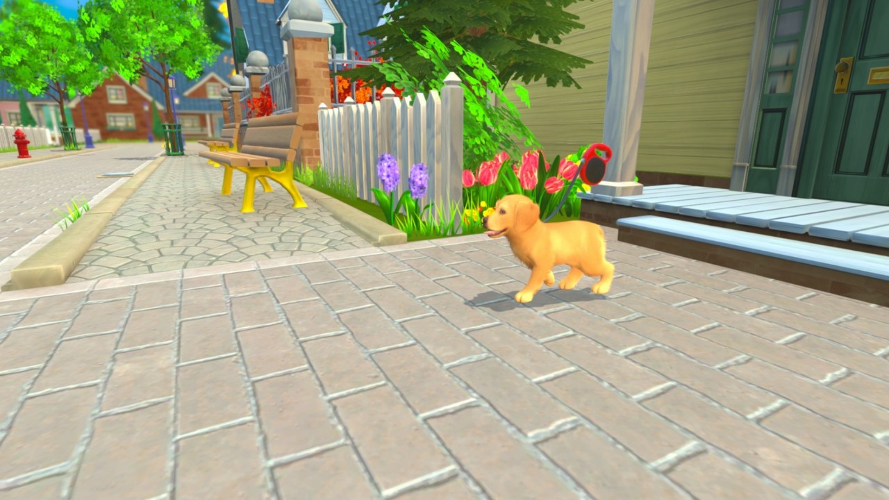 Screenshot 13