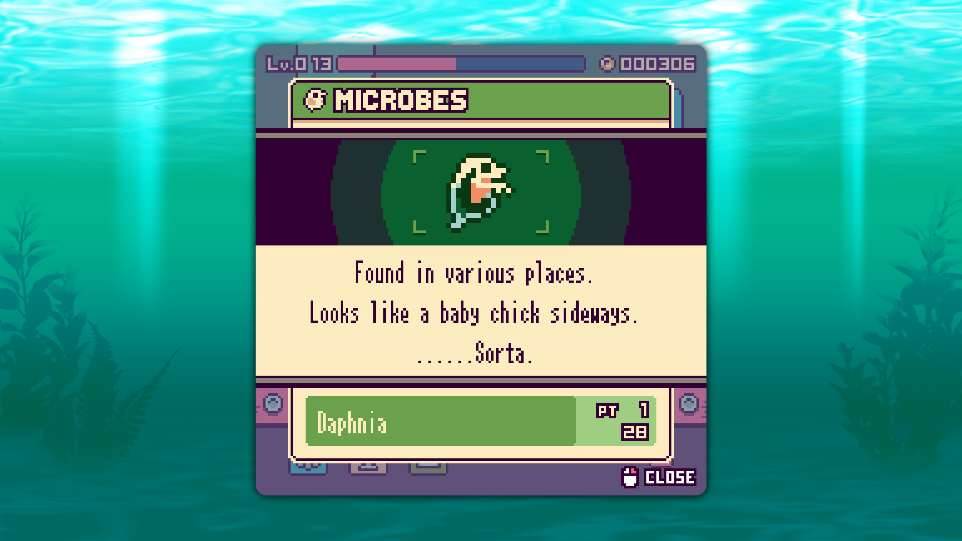 Screenshot 17