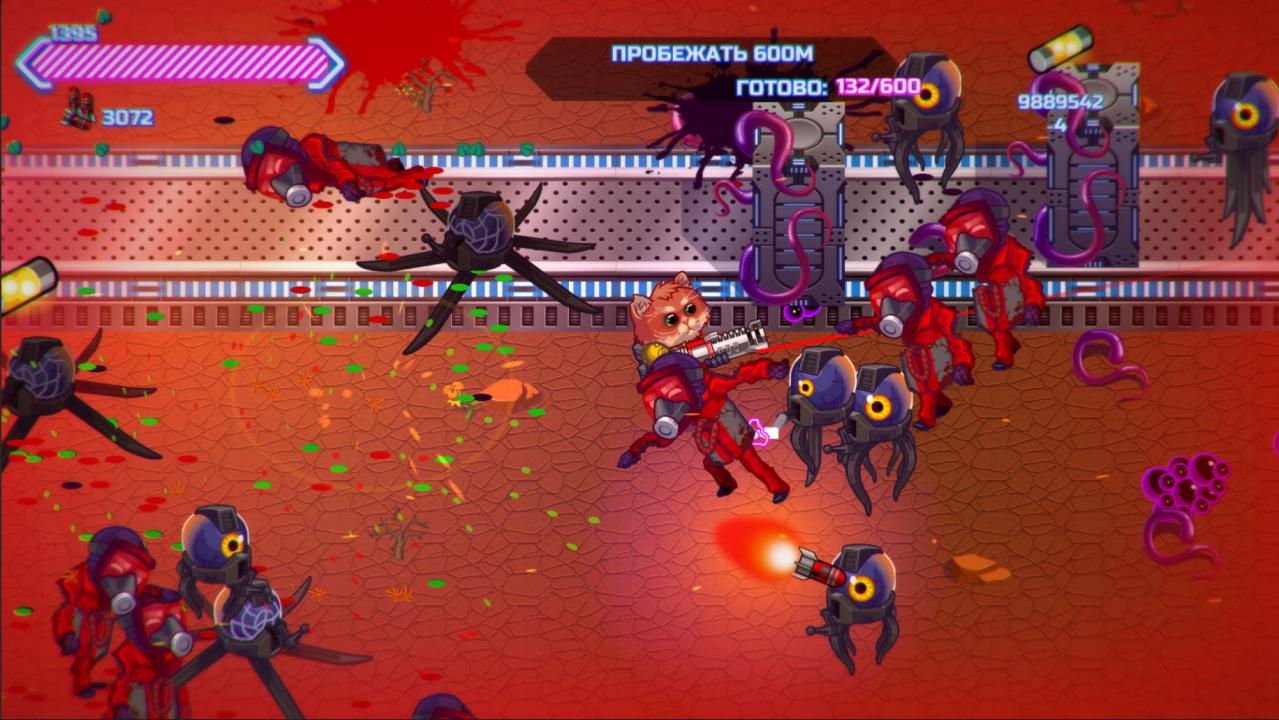 Screenshot 17