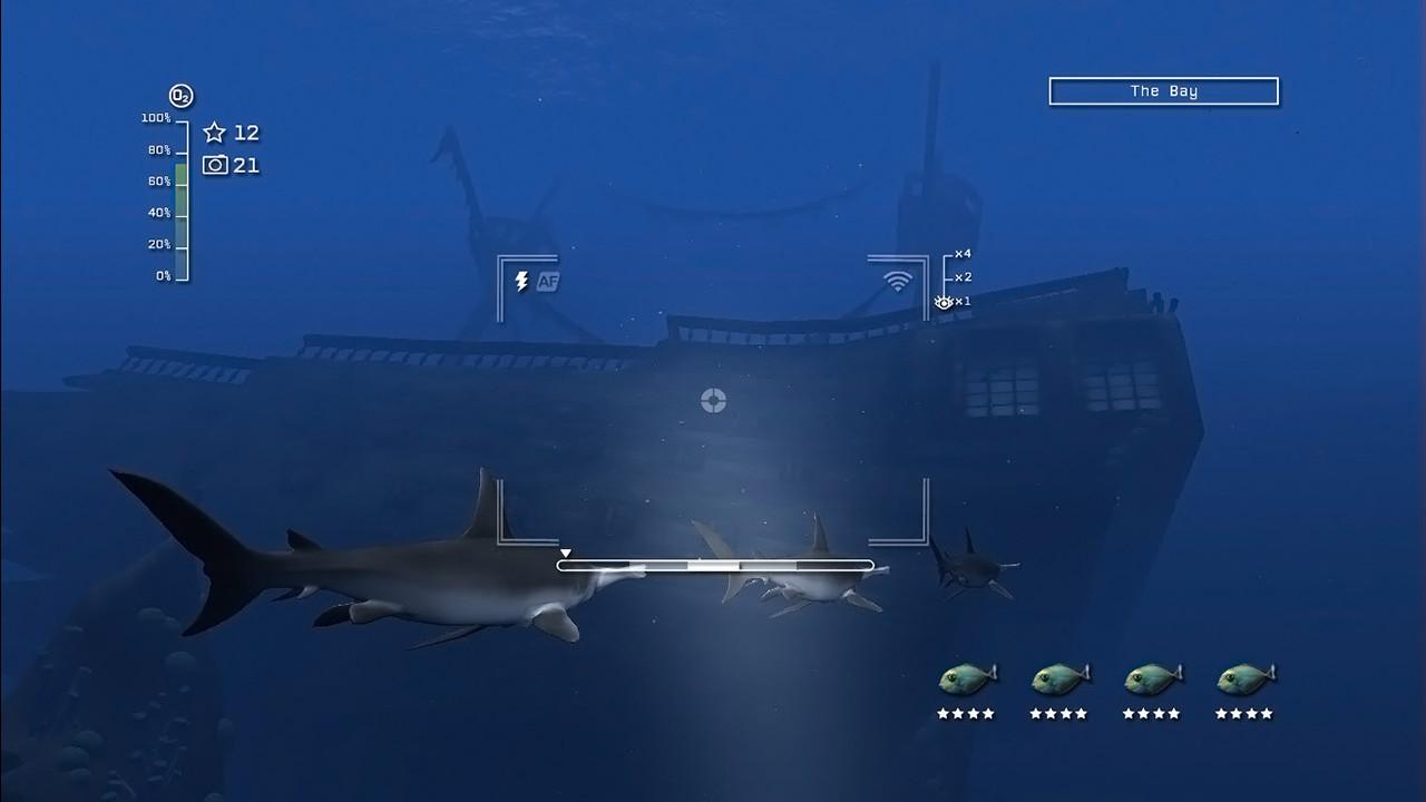 Screenshot 19