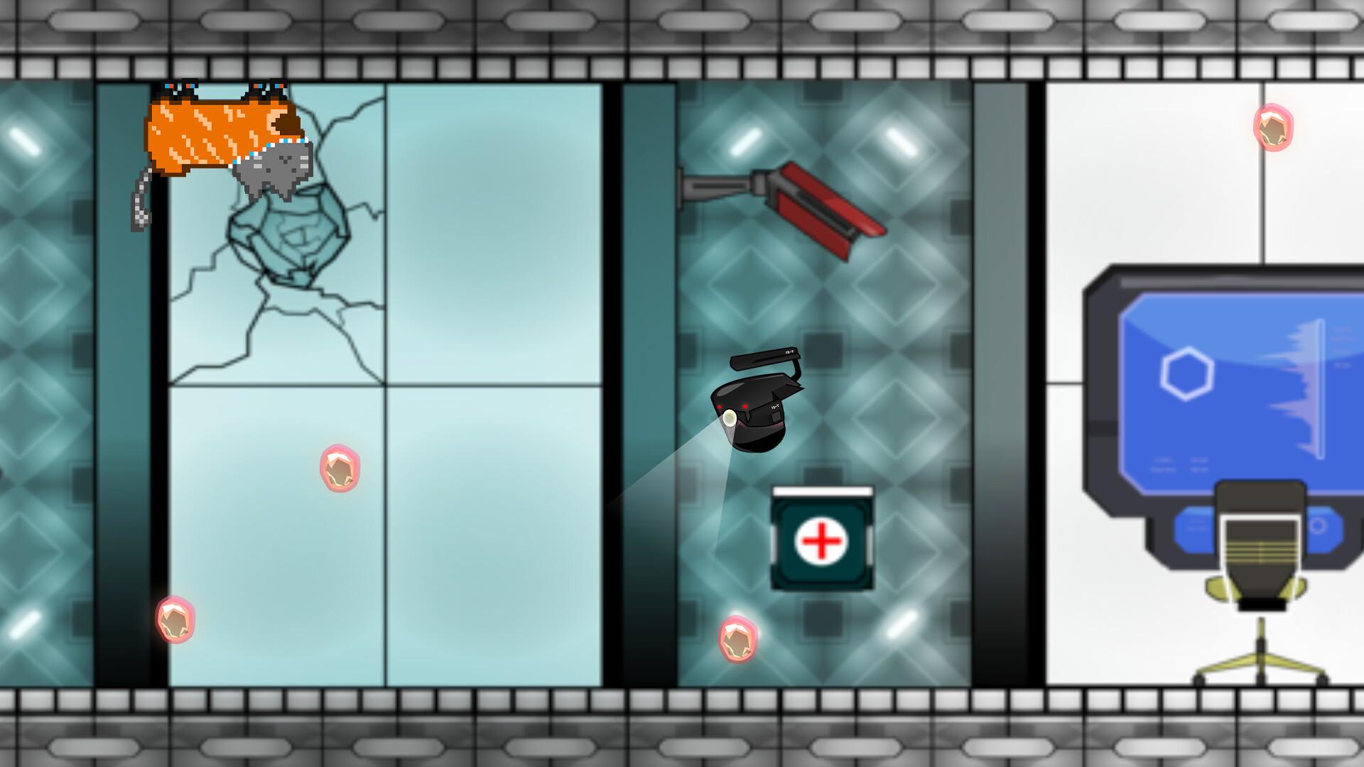 Screenshot 12