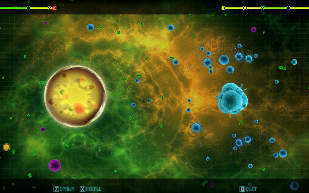 Screenshot 13